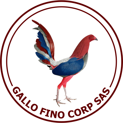 gallofinocorpsas.com