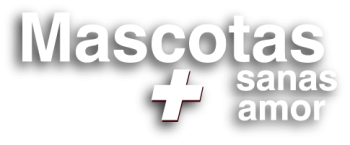 Recurso 1mascotas gallo fino