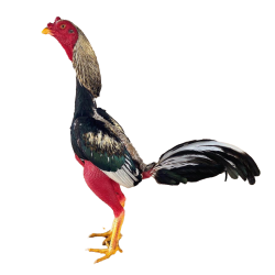 b0e84ba7-5b54-44ca-b569-baaa9fc67605