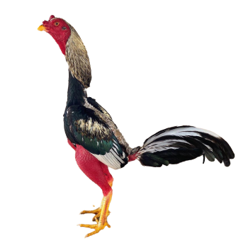 b0e84ba7-5b54-44ca-b569-baaa9fc67605